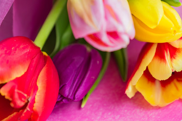 Similar image 21165860