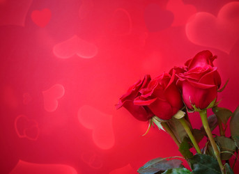 Similar image 21142252