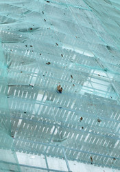 Similar image 21142278