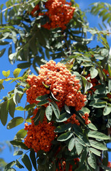 Similar image 21142287