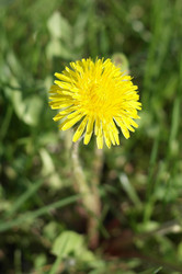 Similar image 21142288