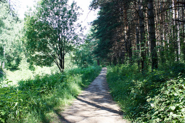 Similar image 21144650