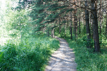 Similar image 21144652