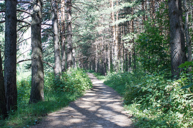 Similar image 21144654