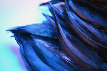 Similar image 21142314