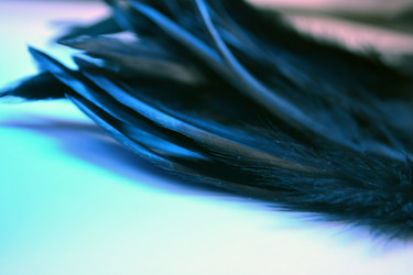 Similar image 21142315