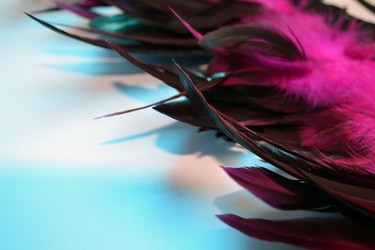 Similar image 21142316