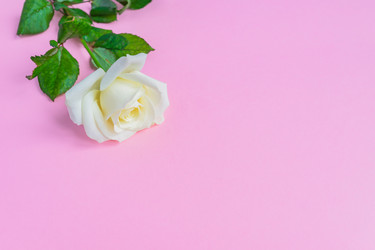 Similar image 21166196