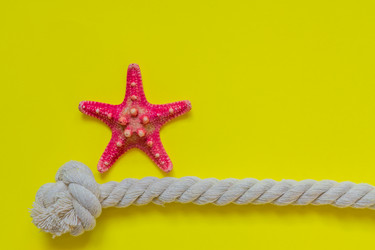 Similar image 21166208