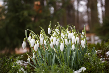 Similar image 21144711