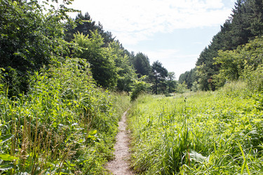 Similar image 21144734