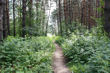 Similar image 21144737