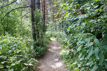 Similar image 21144738