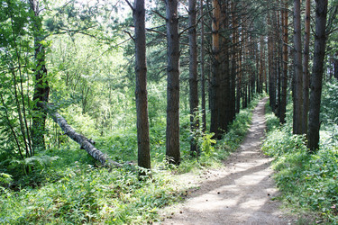 Similar image 21144741