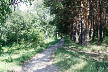 Similar image 21144744