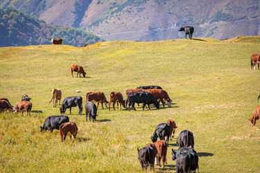 Similar image 21143593