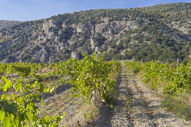 Similar image 21142928