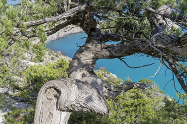 Similar image 21142929