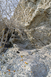 Similar image 21142930