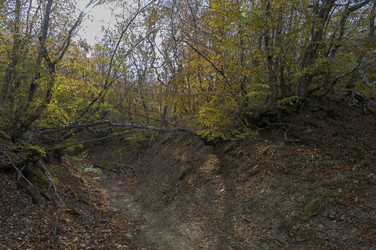 Similar image 21142934