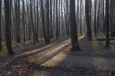 Similar image 21142939