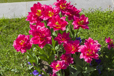 Similar image 21142940