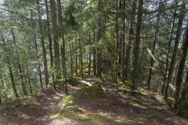 Similar image 21142941