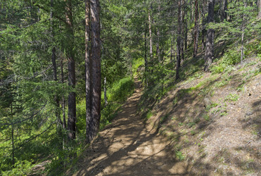 Similar image 21142944