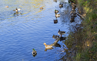 Similar image 21142945