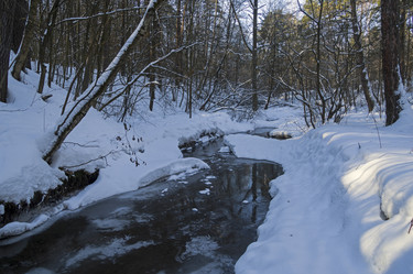 Similar image 21142946