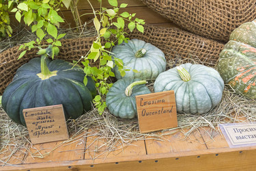 Similar image 21142948