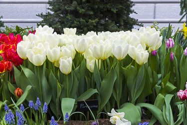 Similar image 21142949