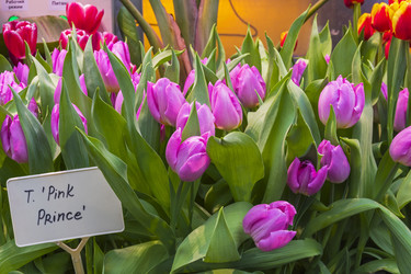 Similar image 21142950