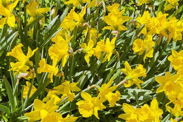 Similar image 21142952