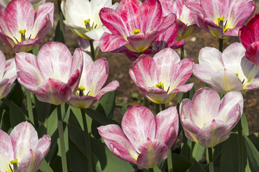 Similar image 21142953