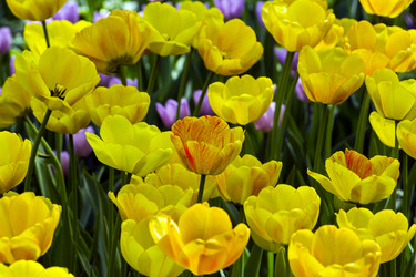 Similar image 21142954