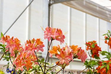 Similar image 21142955