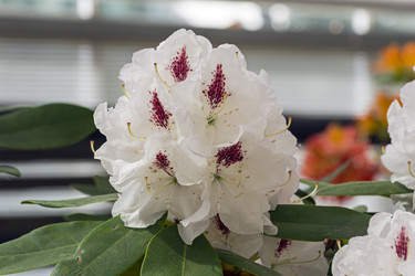 Similar image 21142956