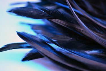 Similar image 21142358