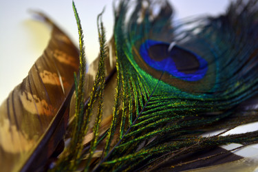 Similar image 21142362