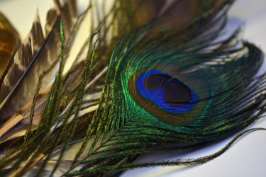 Similar image 21142364