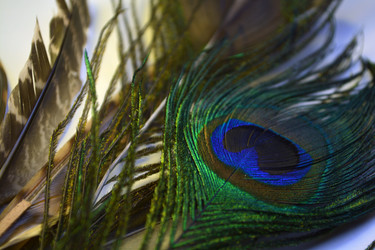 Similar image 21142365