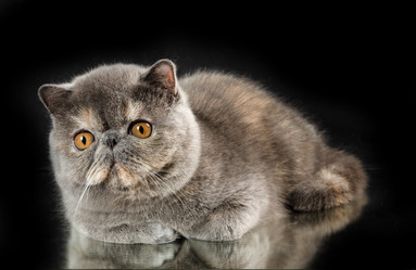 Similar image 21141993