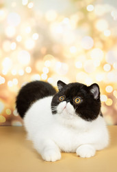 Similar image 21142367