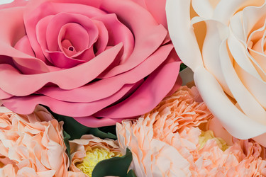 Similar image 21166235