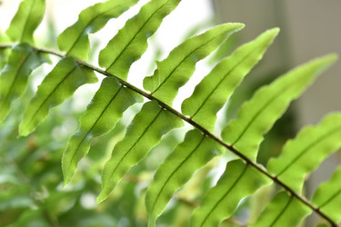 Similar image 21142959