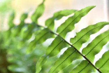 Similar image 21142960