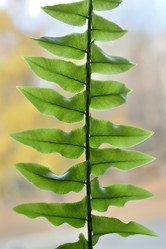 Similar image 21142961