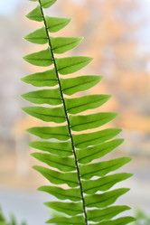 Similar image 21142962