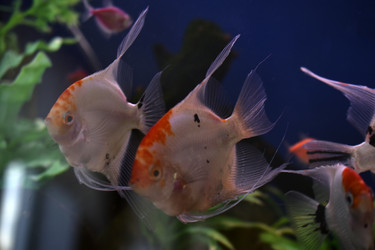 Similar image 21142964